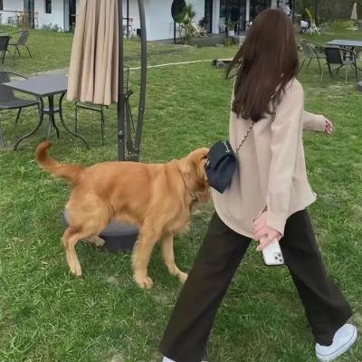 滨虎第二季